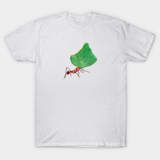 Ant carrying big leaf T-Shirt